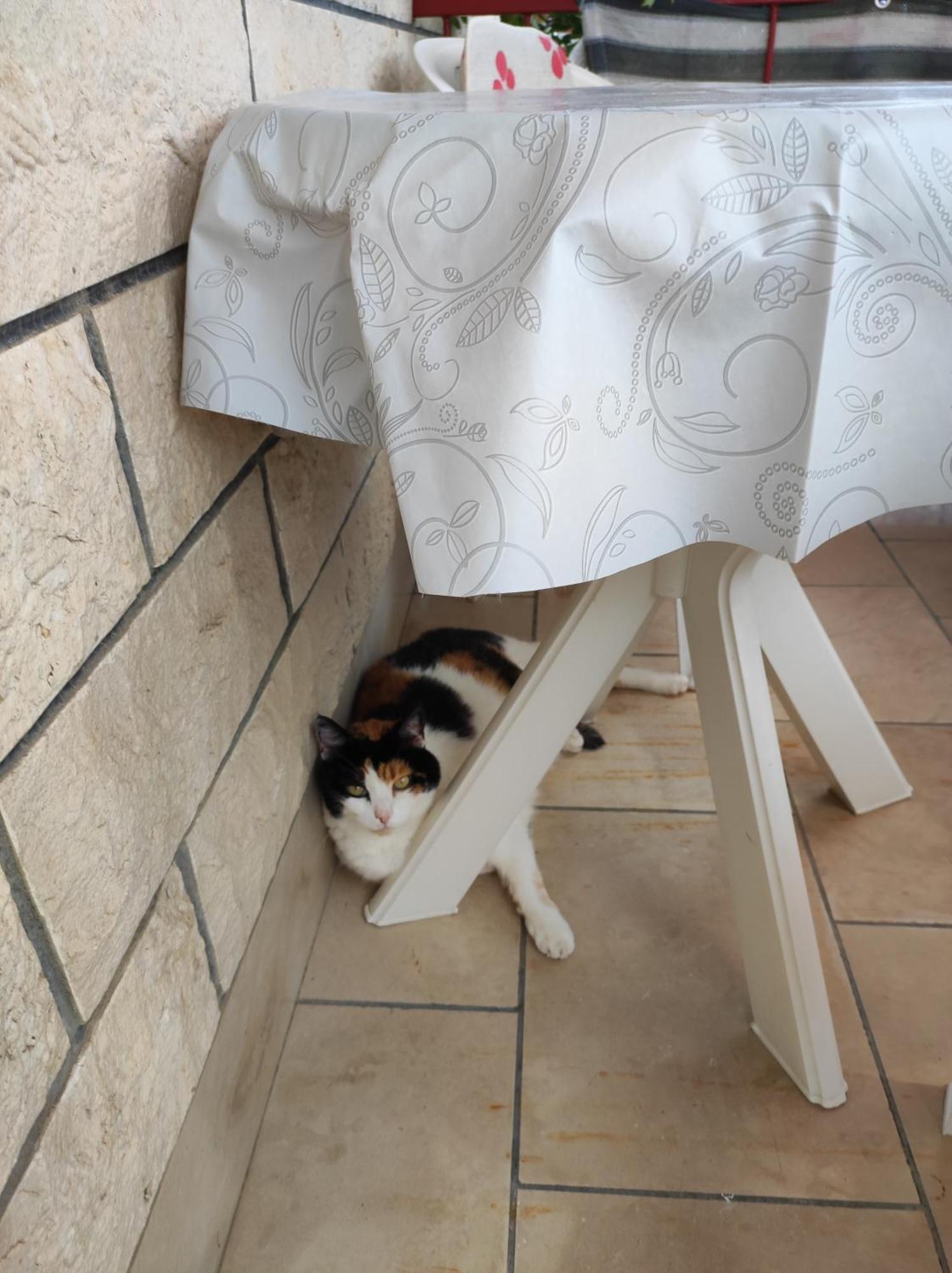 Apartmani Valentino Makarska Eksteriør billede